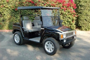 affordable golf cart rental, golf cart rent thousand oaks